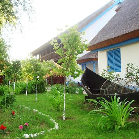 מלון Uzlina Casa Dintre Salcii מראה חיצוני תמונה