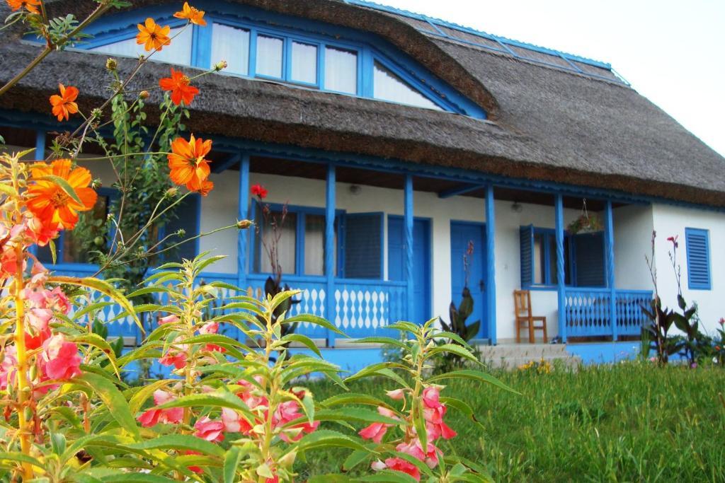 מלון Uzlina Casa Dintre Salcii מראה חיצוני תמונה