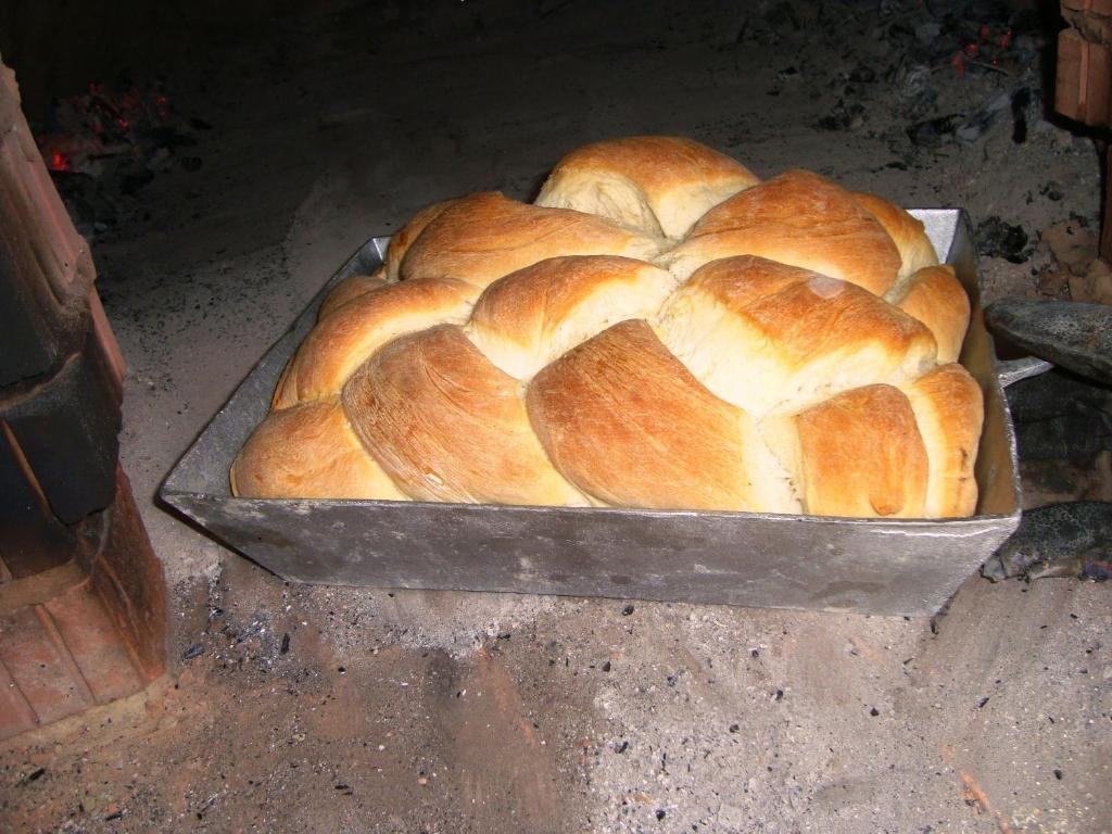 מלון Uzlina Casa Dintre Salcii מראה חיצוני תמונה